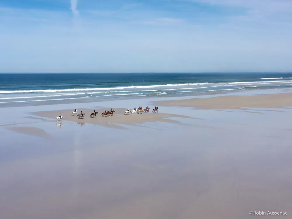 balade a cheval en bord de mer