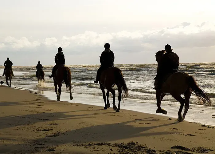 balade a cheval sur la plage (2)