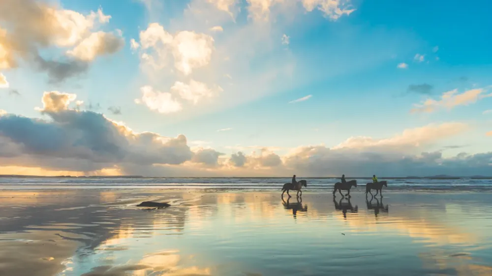 balade à cheval en bord de mer