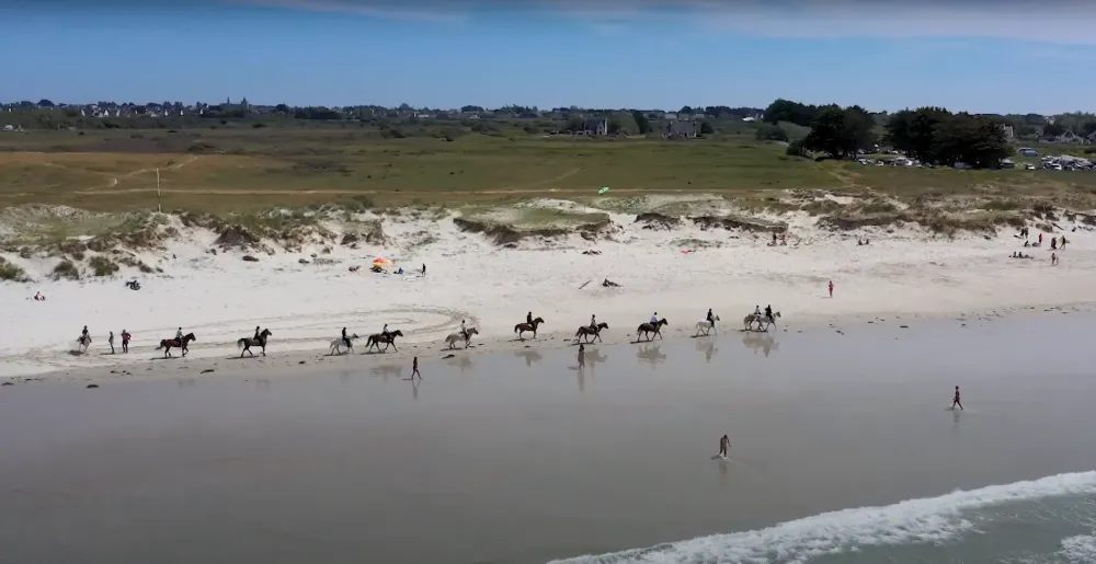 balade a cheval sur la plage (1)